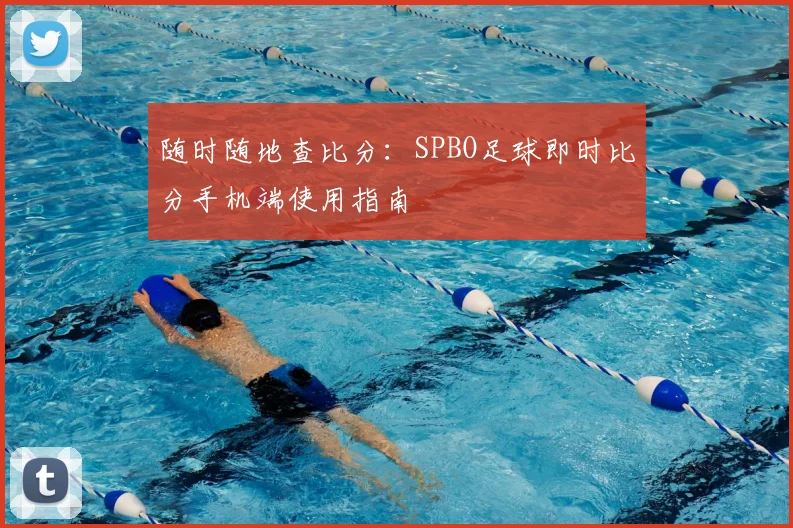 随时随地查比分：SPBO足球即时比分手机端使用指南