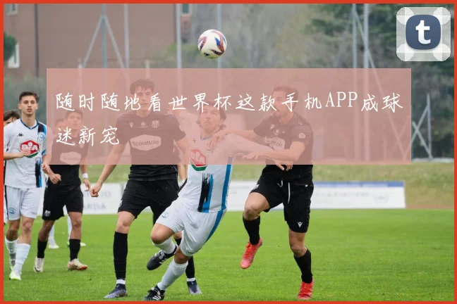 随时随地看世界杯这款手机APP成球迷新宠