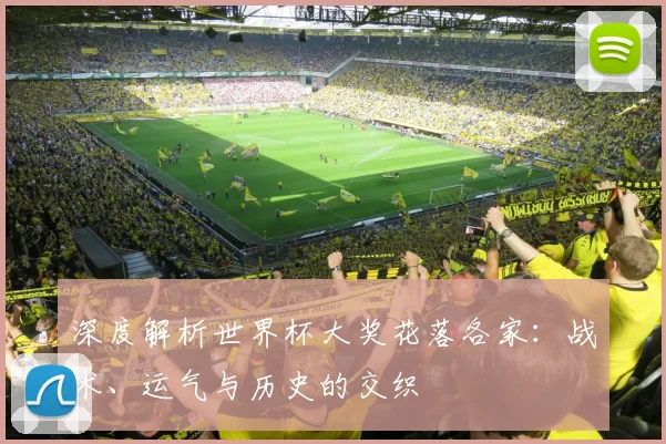深度解析世界杯大奖花落各家：战术、运气与历史的交织