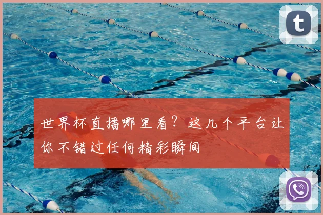 世界杯直播哪里看？这几个平台让你不错过任何精彩瞬间