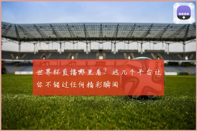 世界杯直播哪里看？这几个平台让你不错过任何精彩瞬间