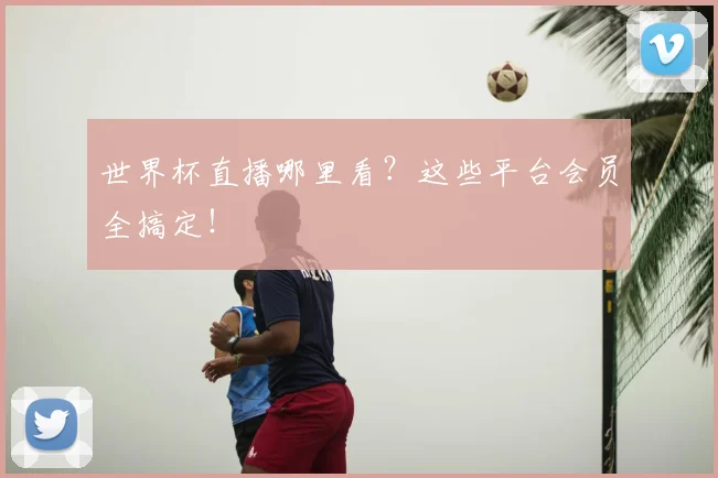 世界杯直播哪里看?这些平台会员全搞定!